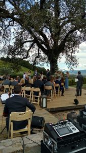 Wedding ceremony beneath a large tree, as seen from the audio table in back