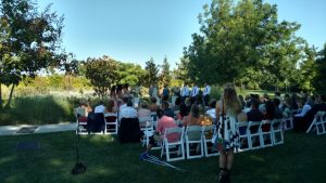 Wedding ceremony view from the back rows at Park Winters on a sunny day